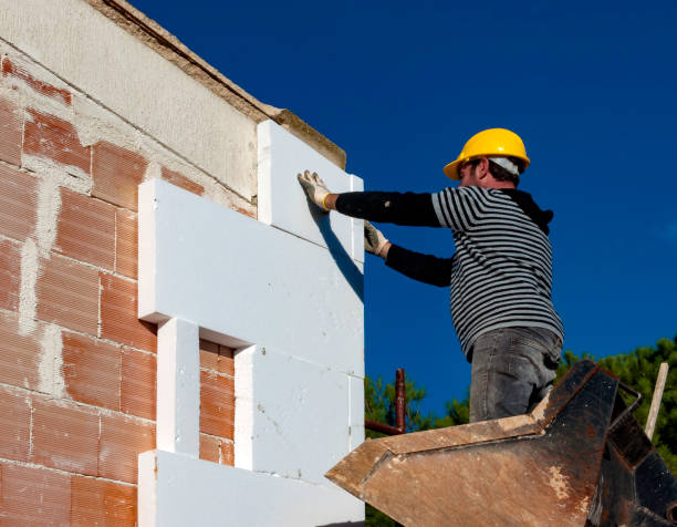 Best Insulation Maintenance and Repair in Craigsville, WV