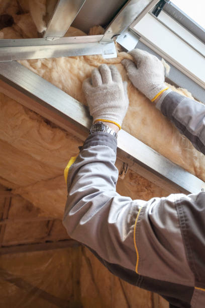 Best Geographic-Specific Insulation Services in Craigsville, WV